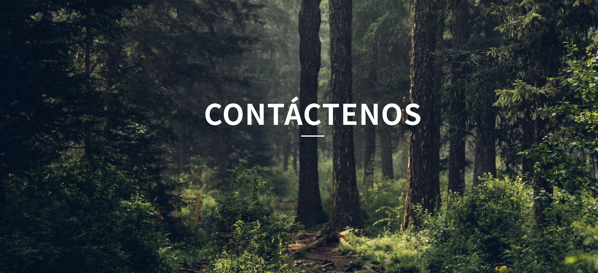 Contáctenos. Xinlan