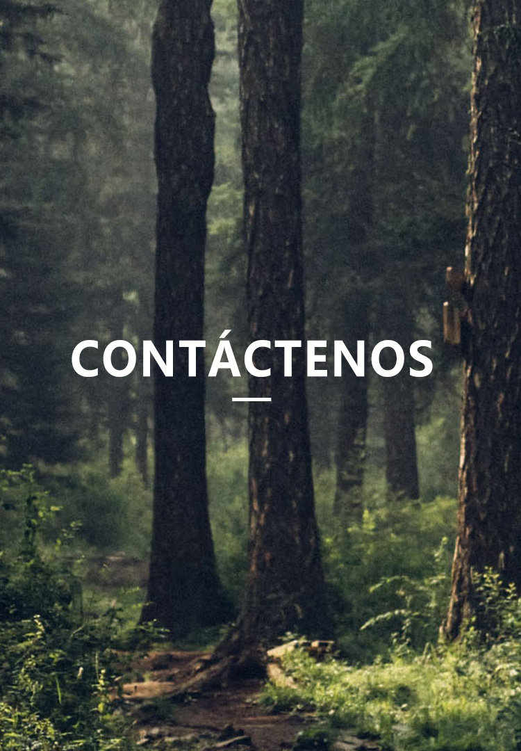 Contáctenos. Xinlan